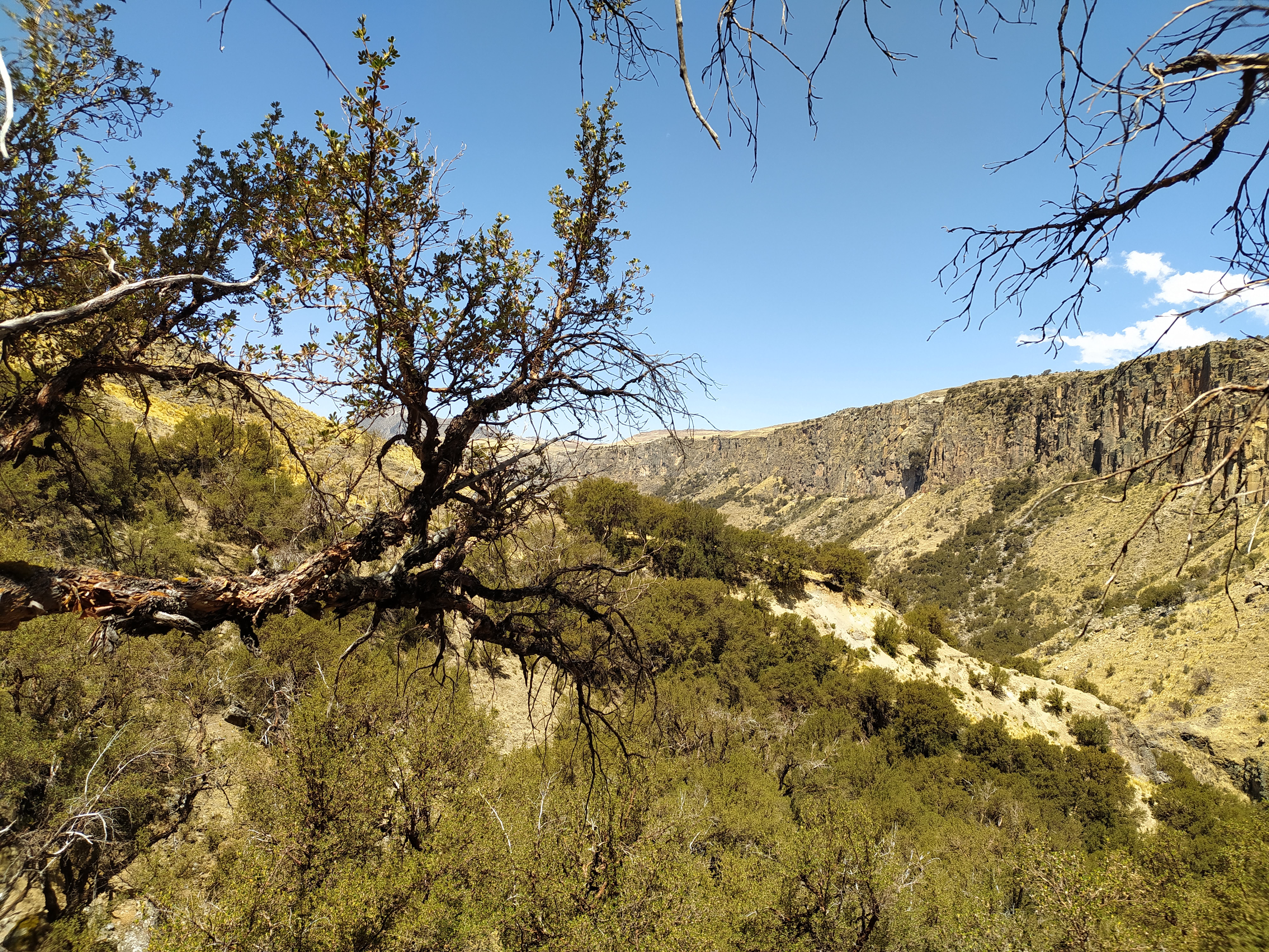 Coastal Hills